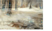 Buchenwald_im_Nebel_34 X 45