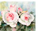 Eden--Rosen-II-32-X-43