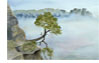 Fruenebel_in_der_Saechsischen_Schweiz_48X55