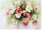 Rote_und_weisse_Cosmeen_33 X 44