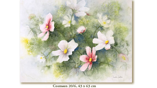 Cosmeen_20_6_43X63