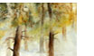 Ellerbusch_Malgarten_34X52