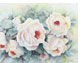 Rosen_Cressida_II_43X64_thumbnail