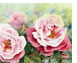 Rosen_Sophies_Perpetual_45X64_thumbnail