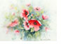 Roter_Mohn_18_3_49X63_thumbnai