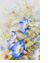 Trichterwinden_17_12_64X49