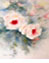 Weisse_Rosen_20_1_63X43_thumbnail